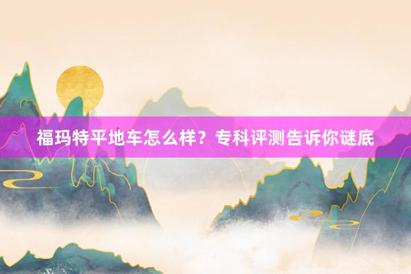 福玛特平地车怎么样？专科评测告诉你谜底